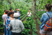 Coffee Addict Bike Tour Antigua Guatemala