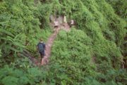 Hike Zip Bike Antigua Guatemala